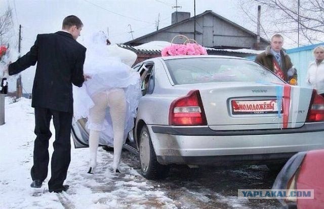 Завалялось тут случайно немного забавных картинок