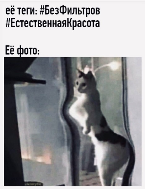 Всего понемногу. От 04.12.2024