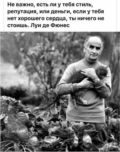 Прикольные и просто красивые картинки 10.01.2025