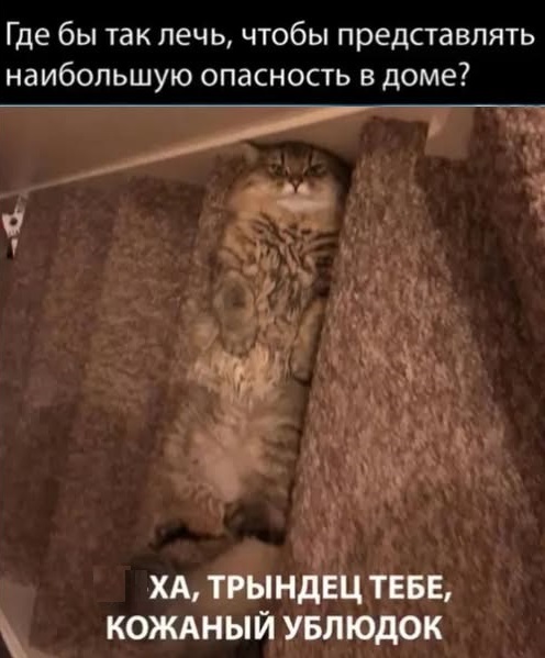 Картинки разные с надписями и без