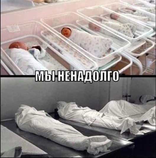 Сборная солянка