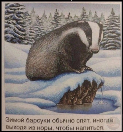 Без проблем