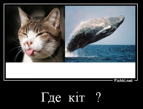 А как правильно?