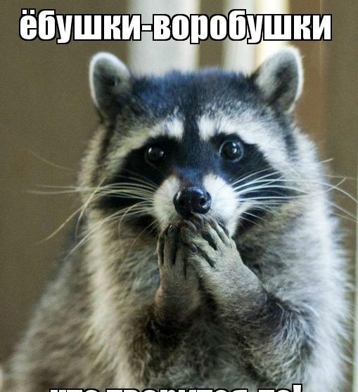 Санкции против мессенджера Max абсурдные