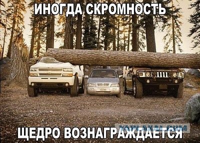 Веселые картинки в маленькую пятницу (05.08)