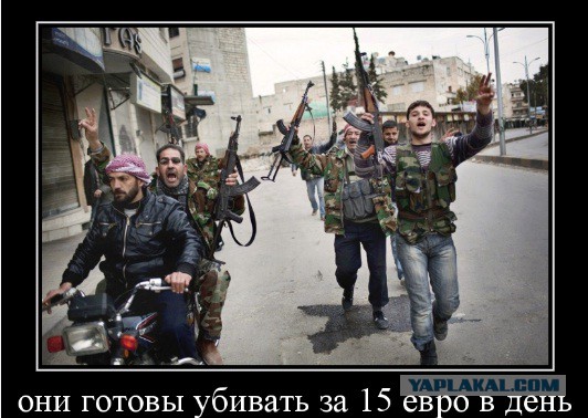 Беркут пошел на штурм