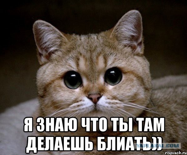 Застукали в чем мать родила