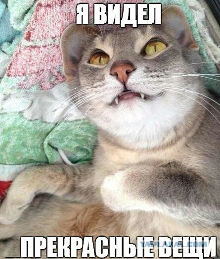 Смешные картинки и комментарии