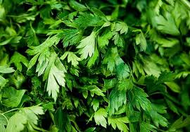 Немного об Израиле
