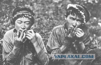 Бронетанковая милиция