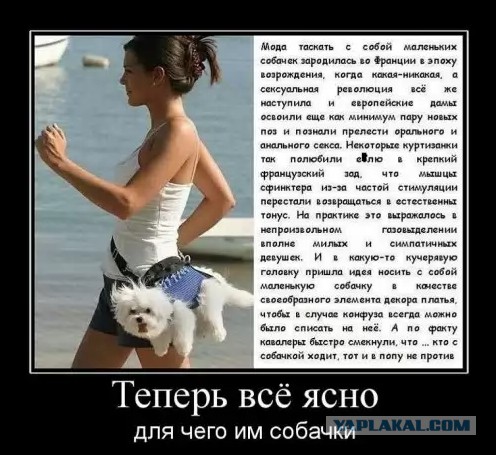 Забавные картинки из интернетов