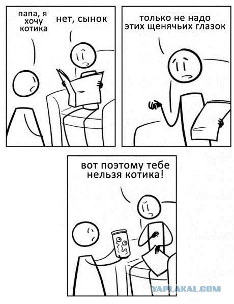 Картинки
