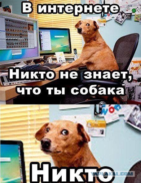 Пятничная подборка