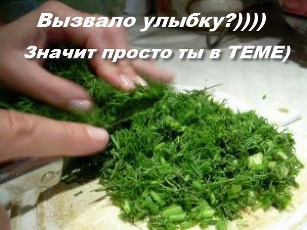 Политические карикатуры
