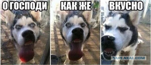 С почином!