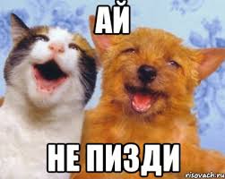 Пьяные понты
