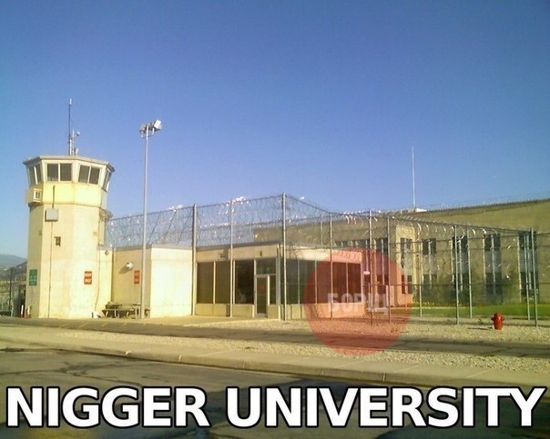 Приготовления к появлению нового Папы Римского