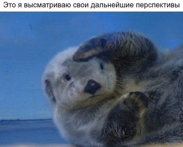 Свежая подборка прикольных картинок