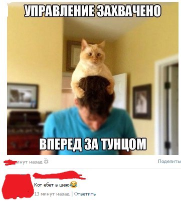 Ужасы и приколы из соцсетей 18+