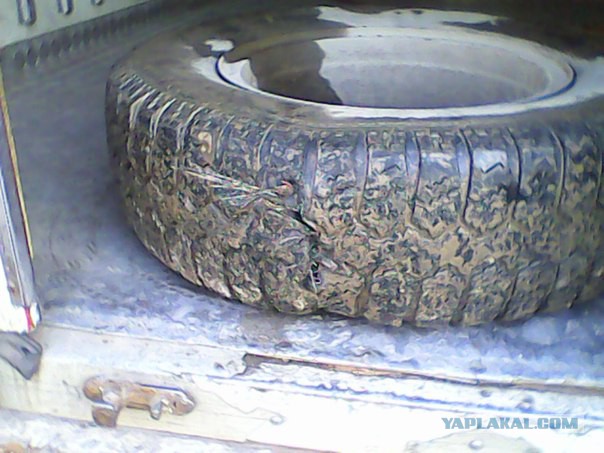 Мастерство не пропьешь