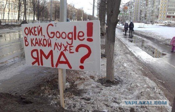 Интересные и веселые картинки