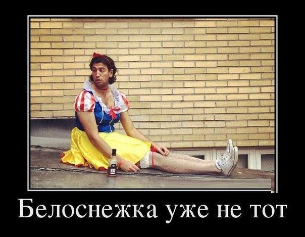 Подборка картинок из сети