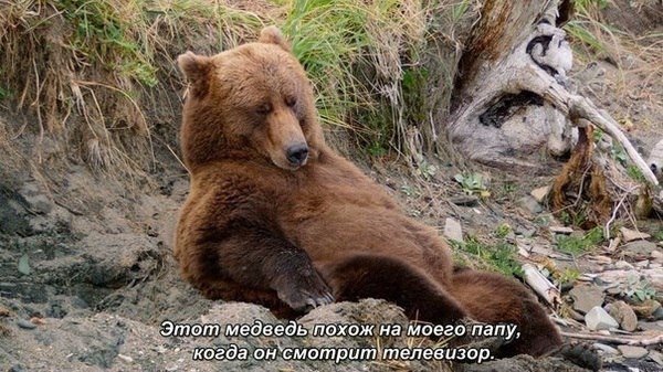 Мохнатые беспредельщики