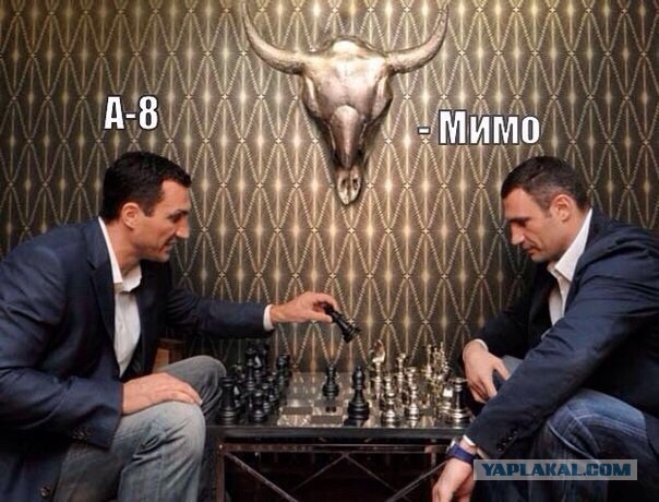 Мысли Кличко - месячники, барбекю и два загадочных булыжника