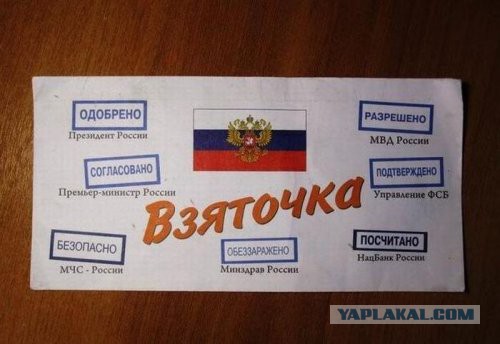 Забавные картинки из сети