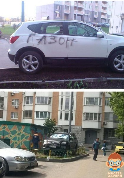 Забавные картинки из сети
