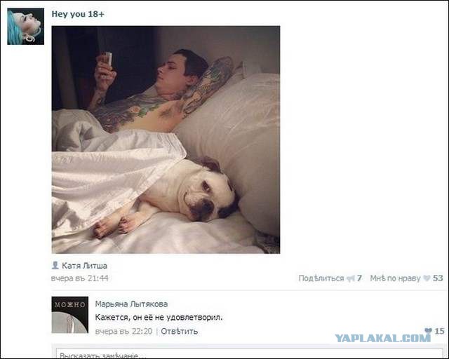 Смешные комментарии из социальных сетей 20.05.2016