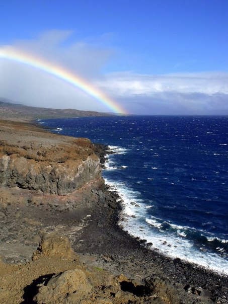 Интересные и веселые картинки