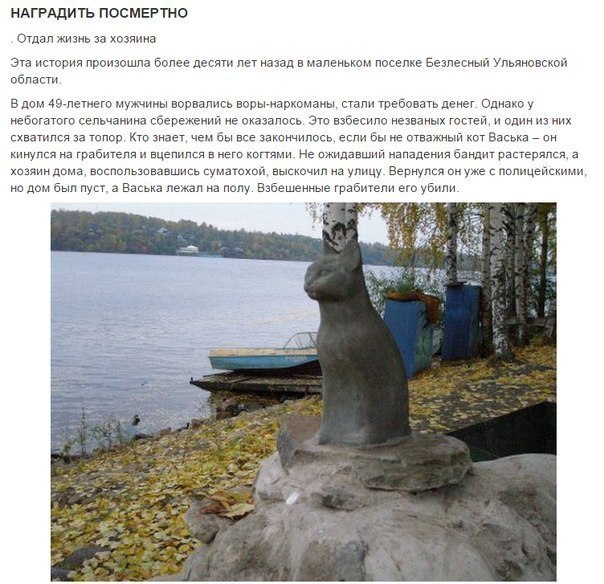 Мохнатые беспредельщики