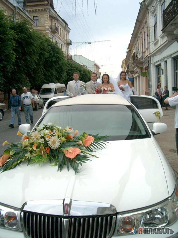 Свадьба, женихи и невесты