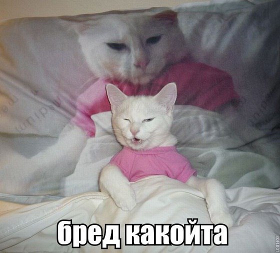 Картинки с этих ваших интернетов.