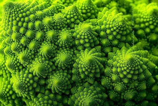 Картинки для отдыха глаз