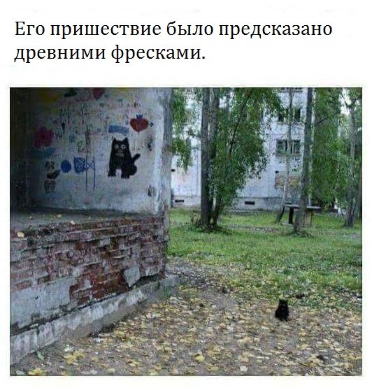 Картинки и приколы из сети, для поднятия настроения=)