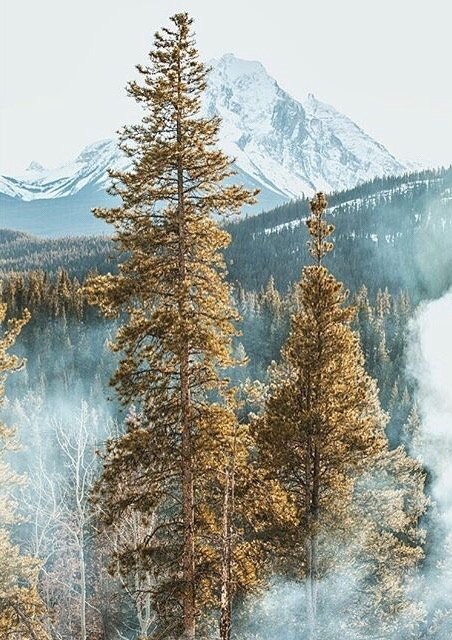 Картинки для отдыха глаз