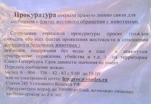 Живодерки из Хабаровска