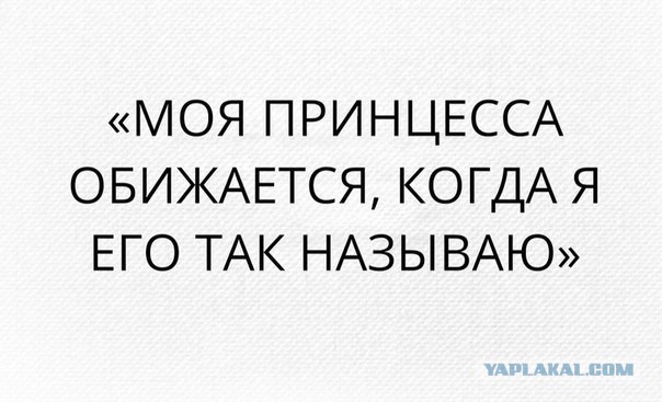 Забавная всячина