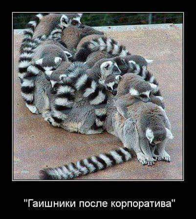 Подборка интересных и веселых картинок