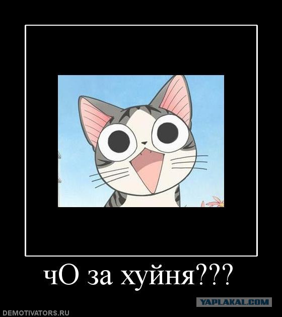 Ну что, кто избранный?)