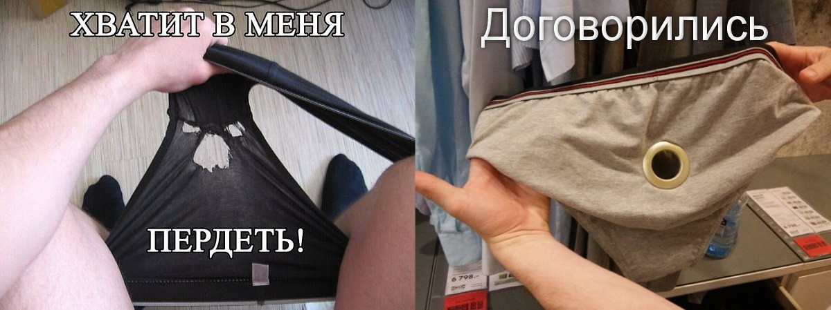 газель пердит