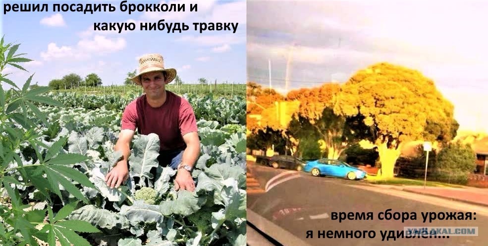 какие слова..., эротические соц сети знакомств какие новости
