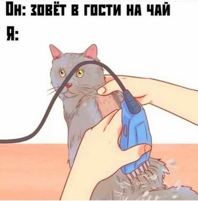 Предлагаю немного слегка пошлых картинок с надписями и без 16+ (05.08)