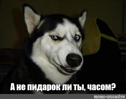 Жительницу Челябинска, призвавшую Байдена спасти Челябинск от "экологического геноцида", оштрафовали на 20 тысяч рублей