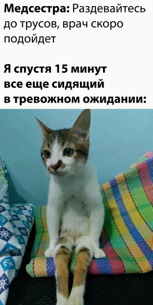 Картинки и мемы для настроения 12.04.2021