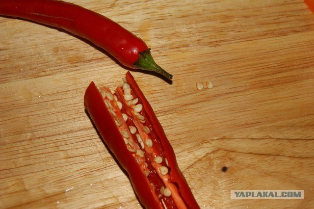 Куриный бульон для Чайников, Или «Кура-International»