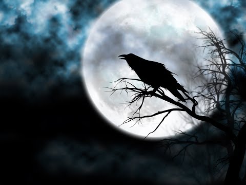 Вороны, кажется, умнее всех: на что способен их интеллект