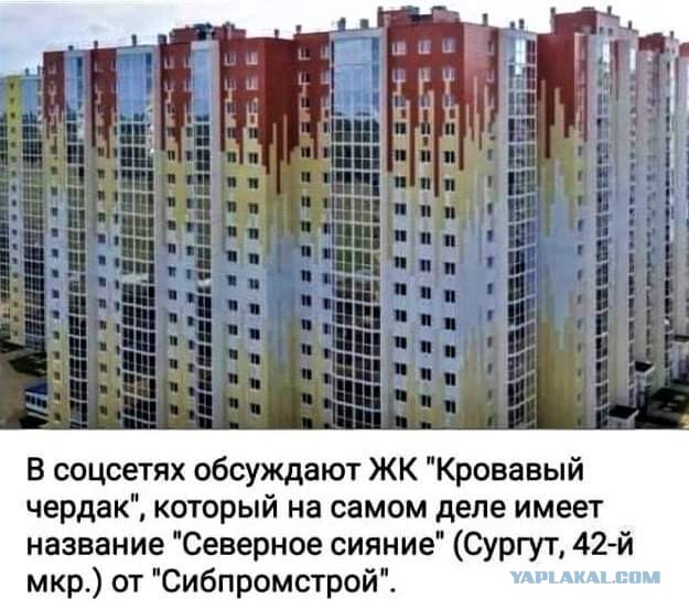 Всяческие картинки 08.12.2021